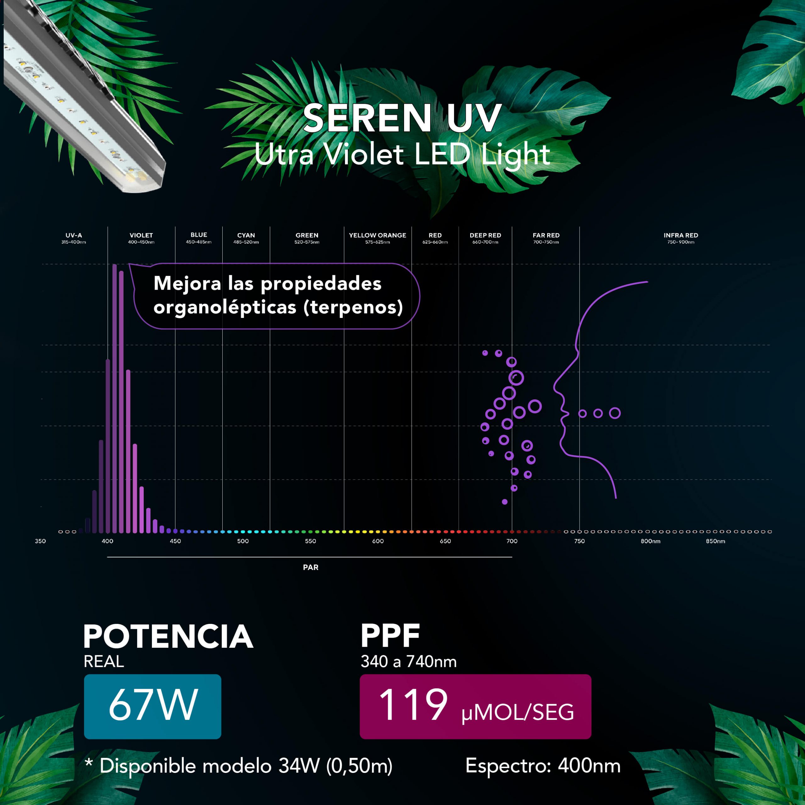 espectro luz ultravioleta cannabis