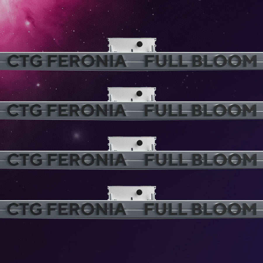 4 CTG Feronia Full Bloom
