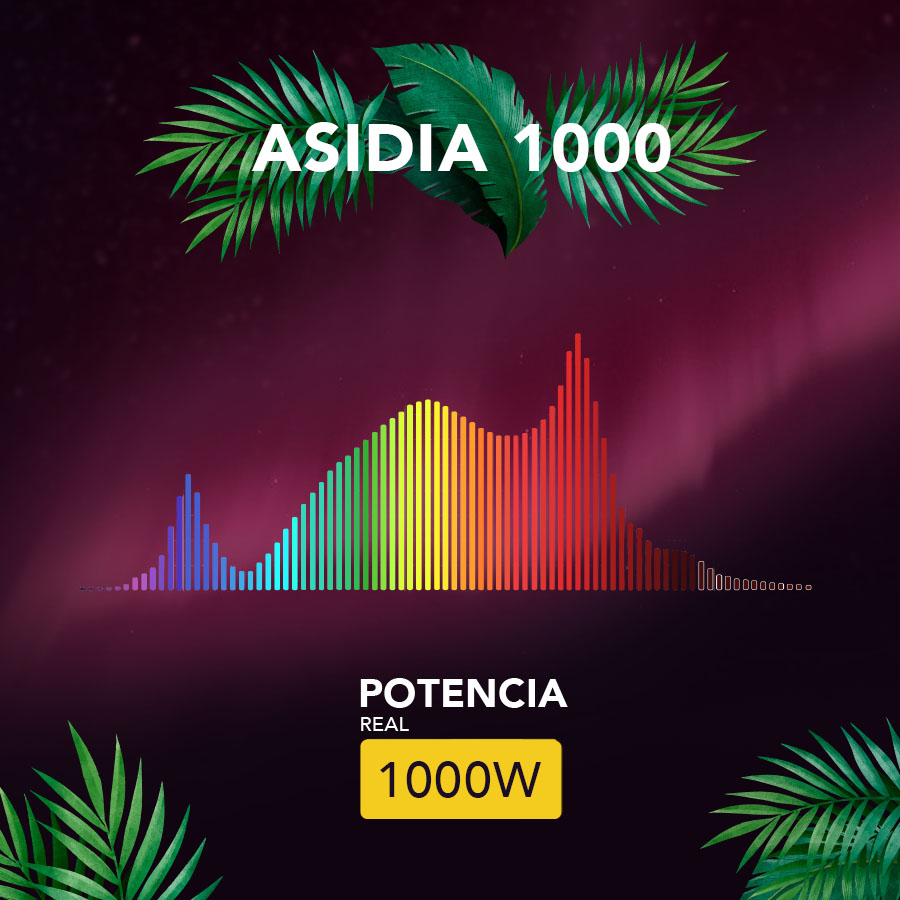 CTG ASIDIA 1000